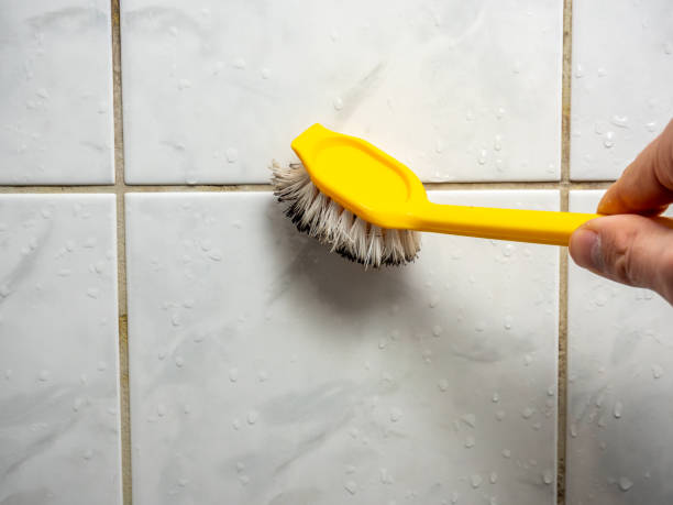 Best Commercial Mold Remediation in Aurora, OH