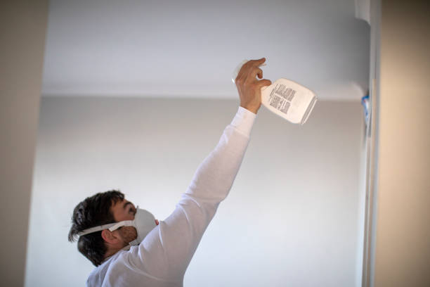 Best Basement Mold Remediation in Aurora, OH