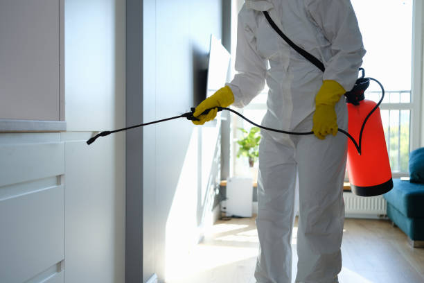 Professional Mold Remediation in Aurora, OH