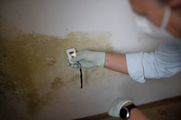Aurora, OH Mold Remediation Company